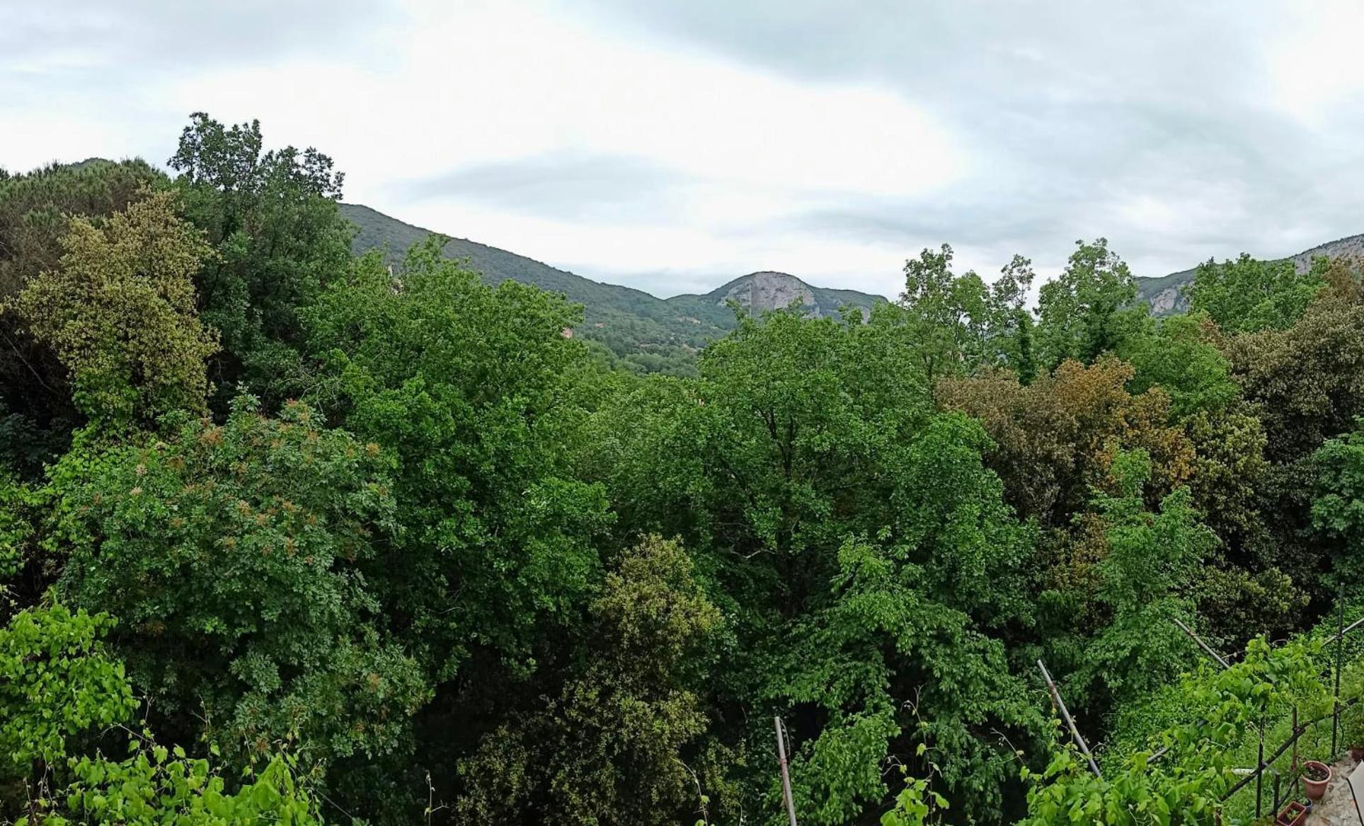 Le Petit Chateau Vezzi Portio Kültér fotó